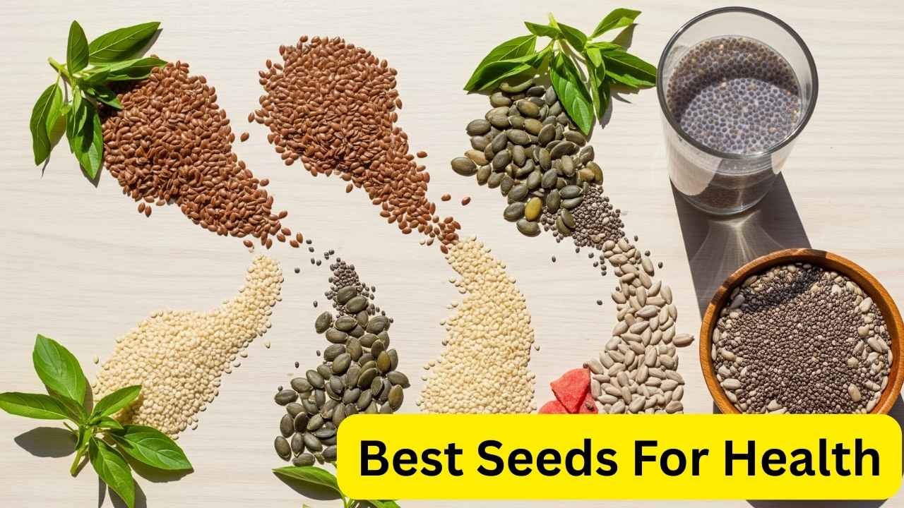 গাট হেলথ উন্নত করতে সেরা সিডস